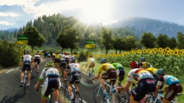   Pro Cycling Manager 2018