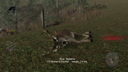   Pro Deer Hunting 2