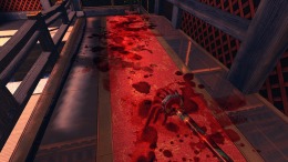 Viscera Cleanup Detail: Shadow Warrior 