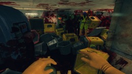   Viscera Cleanup Detail