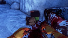 Viscera Cleanup Detail  PC