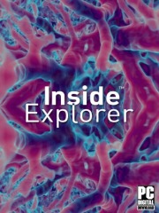 Inside Explorer