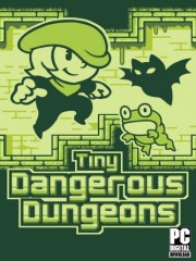 Tiny Dangerous Dungeons