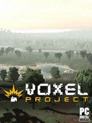 Voxel Project VR