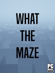 What The Maze