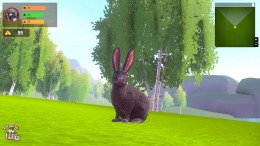  Adventure Forest: Rabbit Story