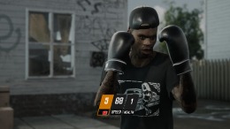 Backyard Boxing  PC