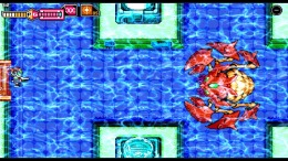 Blaster Master Zero  PC