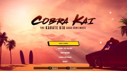   Cobra Kai: The Karate Kid Saga Continues