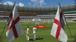   Cricket 22