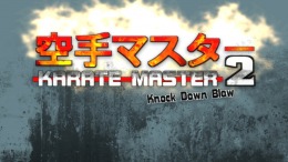 Karate Master 2 Knock Down Blow  