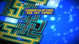  PAC-MAN 256