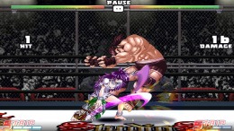   Strip Fighter 5