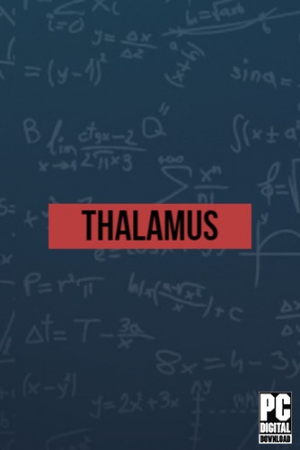 Thalamus  