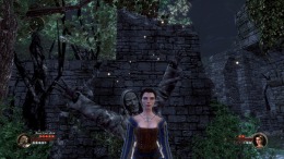   The First Templar - Steam