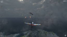   X air combat