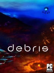 Debris