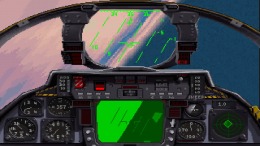 ������� Fleet Defender: The F-14 Tomcat Simulation