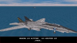 �������� ���� Fleet Defender: The F-14 Tomcat Simulation