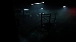 Forest Asylum  PC