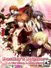 Destiny's Princess: A War Story, A Love Story