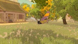  A Butterfly's Dream