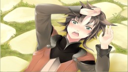 Anicon - Animal Complex - Cat's Path 