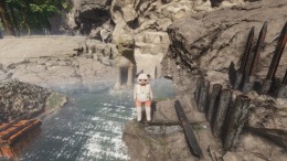   Bear Adventures