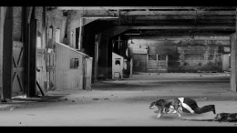   BVOVB - Bruising Vengeance of the Vintage Boxer