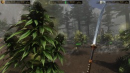   Cannabis Farmer Strain Master