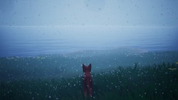 Cat Town  