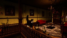  Catsperience