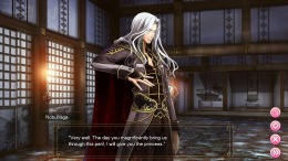 Destiny's Princess: A War Story, A Love Story  