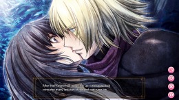 Destiny's Princess: A War Story, A Love Story 
