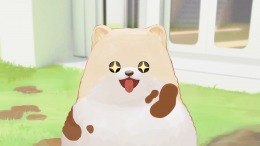   DORONKO WANKO
