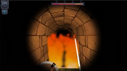 Dungeon Raider  PC