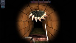   Dungeon Raider