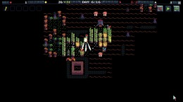  Gnomes