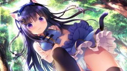 Island Diary  