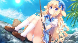  Island Diary