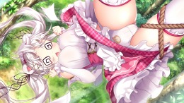Island Diary 