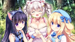   Island Diary