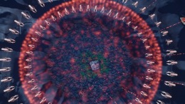   Marimo -VS- I.A.S