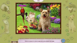   My Lovely Pets