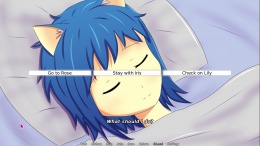 NEKOKORO  PC