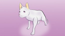 NEKOKORO 