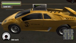   New York Taxi Simulator