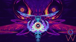 NIDUS  PC