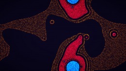   Parametric Creature: Lab