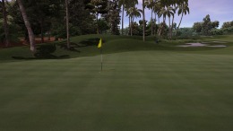   Perfect Golf